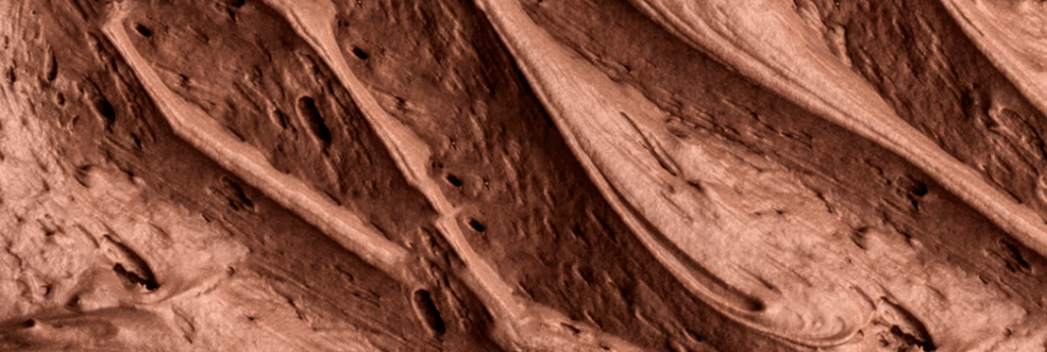 PANTONE HISTORIA 1 950x320